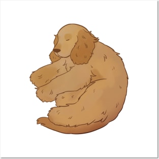 Cute english cocker spaniel sleeping illustration Posters and Art